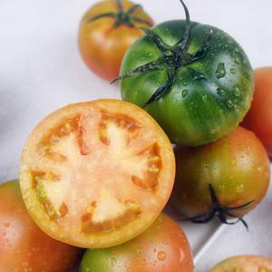 부산 대저 짭짤이 토마토 2.5kg