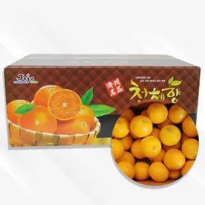 제주 서귀포 천혜향 5kg(일반포장)