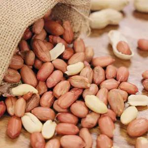 25년산 국내산 여주특산물 고소한 생땅콩 햇땅콩 1kg