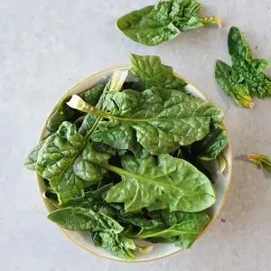 국내산 비금도 섬초/시금치 1kg