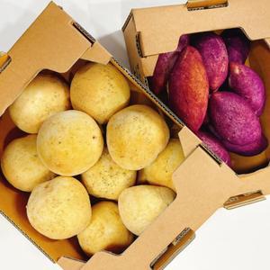 [오리지널픽_디저트바이블룸] 수제 찹쌀 감자빵 10개입+고구마빵 10개입