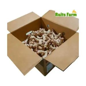 [루츠팜]태국 생 갈랑갈 10kg 갈랑가 령 태국생강