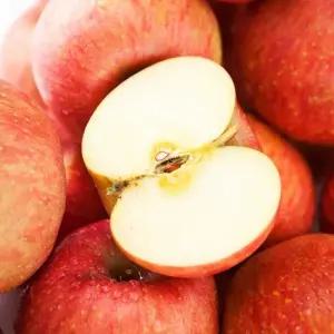 산지직송 달콤한 가정용 햇 사과 10kg 꼬마소과