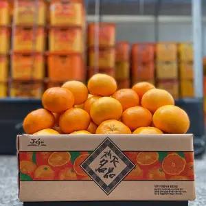 제주 가정용 레드향+천혜향 4.5kg 중과