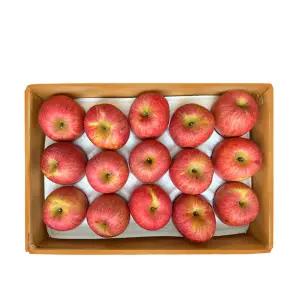 [롯데백화점]장길영사과 [장길영사과]사과 알뜰 중소과 4kg(13-19과)