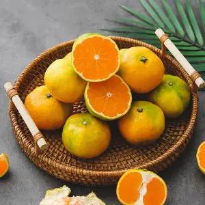 [자연맛남]선별배송 제주 노지 감귤 9kg 프리미엄과 (S)