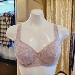 [대구백화점] [비너스]레이스 몰드형 패드 보정브라 A,B컵(VGBM529A B)