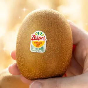 제스프리 썬골드키위 점보 개별 155g내외 5kg