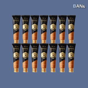 명약원 치약 스페셜  LG 골든프로폴리스 플러스 120g 14개