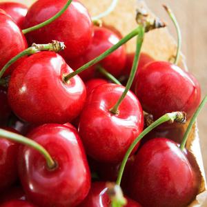 수입과일 고당도 생체리 10R (대) 1kg