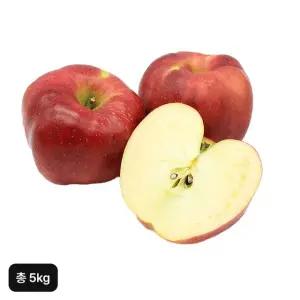열매나무 못난이 사과 2.5kg+2.5kg