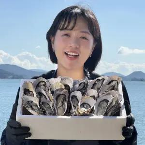 [햇 생굴][대한민국농수산] 당일채취 통영 햇 생굴 2kg (500g *4팩)