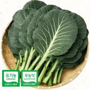 친환경 산지 유기농케일 웰빙 쌈케일 2kg 무농약이상 채소