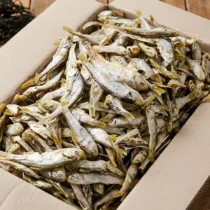 [남해안 햇물] 비린내 없는 깔끔한 육수용 고노리 곤어리 1.5kg (멸치/디포리 대용)