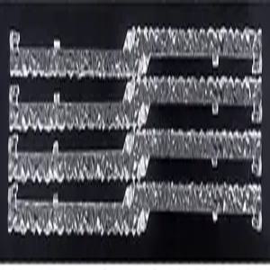 G 스킬 트라이던트 Z5 RGB DDR5용 호케이오 메모리 RAM 라이트 가이드 바 Trindet Z 로얄 시리즈 조명