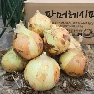 GAP 양파 3kg 5kg 햇양파 청년농부