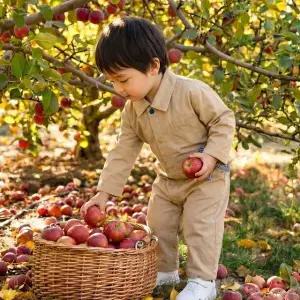 [아가방] 리바  점프수트 (01T137501)