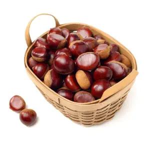 국내산 부여 무농약 햇밤 대사이즈 4kg