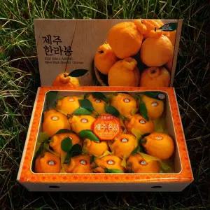 제주 하우스 고당도 써니트 한라봉 선물세트 5kg 14-20입
