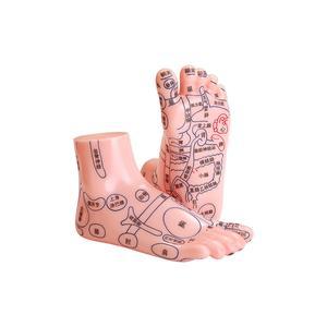 인체 모형 발반사구 교습 침술 마네킹 점혈 지압표