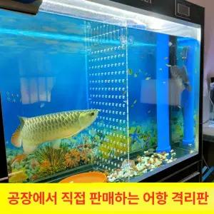 어항 격리 1개 칸막이 분할