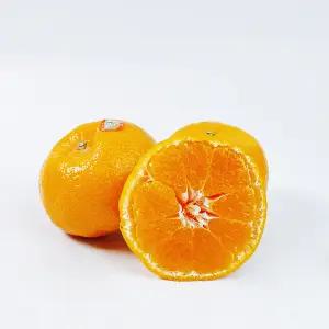 제주 윈터프린스 중소과 5kg