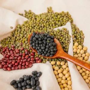 국산 콩 5종 메주콩 1kg