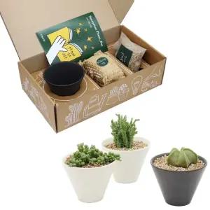 블랙 앤 화이트 도자기화분 다육식물 세트거실인테리어 실내 미니