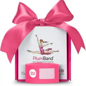 댄스 및 발레용 플럼밴드 스트레치 밴드 u2013 프리미엄 선물 준비 패키지 사이즈 스트레칭으로 갈라짐