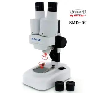 무선 듀얼 LED 쌍안 실체 생물 겸용 현미경 광학 렌즈 곤충 지폐 암석 입체 3D 물질 관찰 과학실 초등 학교