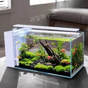 무환수어항 조명 세트 수족관 스마트어항 열대어 유리 자동청소