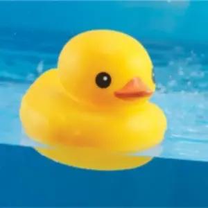 정품 러버덕 물놀이 목욕 오리 장난감 아기 놀이 완구 유아 욕조 용품 3살 애기 아가들 선물