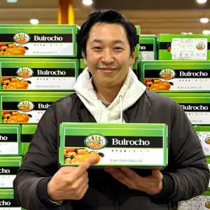 [고당도] 제주 프리미엄 불로초 감귤 당도보장 4.5kg 45과 내외