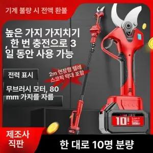 잘라미 굵은가지 80mm 수명 충전식 디럭스 가지치기 전정