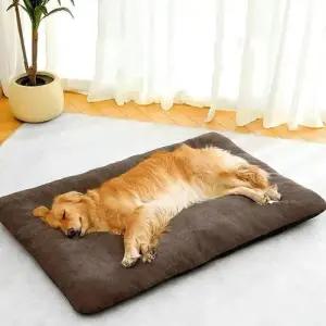 강아지방석 쿠션 반려견 고양이 침대 벨벳 매트2XL WCCD038