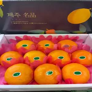 (제주 산지)프리미엄 천혜향 선물세트 4.5kg(가방포함)