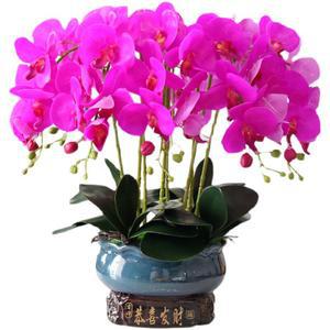 행운 호접란 서양란 미니 퍼플 인조 난초 꽃병세트 생화같은 화분 가드닝 소품 선물 취임