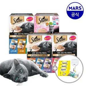 쉬바 미니 리치 35gx12개 골라담기+고양이삽+캣닢쿠션+템테이션12gx3개