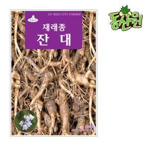 잔대씨앗 1000립 잔대종자 딱주씨앗 민속채소
