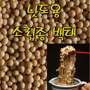 국내산 낫도용 소립종 백태 낫또용콩 국산콩나물콩 2025년햇콩