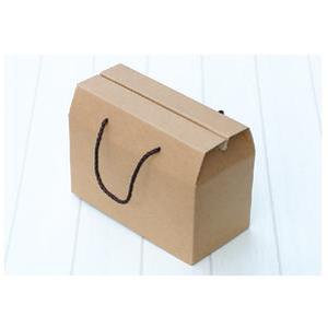 243다용도끈상자(중) /1묶음_100개/양면e골/ L243mmxW122mmxH131mm/수제청 전통장 잡곡 김치 다용도