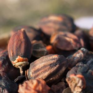 2025년 햇곶감 무유황 흑곶감 자연건조 옛날 곶감 전통곶감 실속형 1 kg