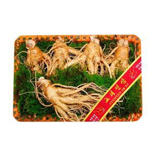 (난 55호 선물셋트) 5-6 뿌리 백화점용 금산 산지발송