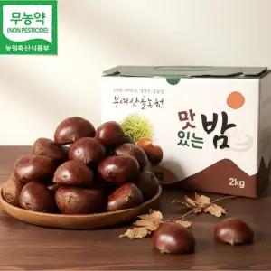 산골농원 포르단밤 대 1kg (군밤용 칼집밤) 공주부여밤 군밤 군밤용밤 칼집군밤 홀라당밤 수락밤 뜨래밤