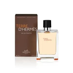 [정품] 에르메스 떼르 데르메스 EDT 100ml