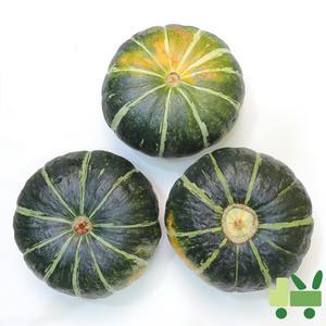 뉴질랜드 단호박 10Kg (5수)