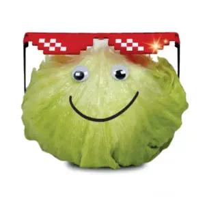 산지직송 양상추 12통 신선개별포장