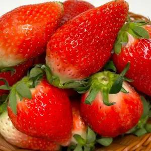 국내산 고당도 논산 킹스베리 생딸기 왕특 500g