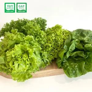 [GAP] 무농약 유러피안 샐러드 쌈 채소 1kg (3종이상 랜덤발송)