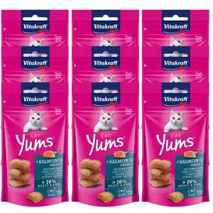 [26년4월30일]비타크래프트 캣얌 연어 40g x 9개 [1box]